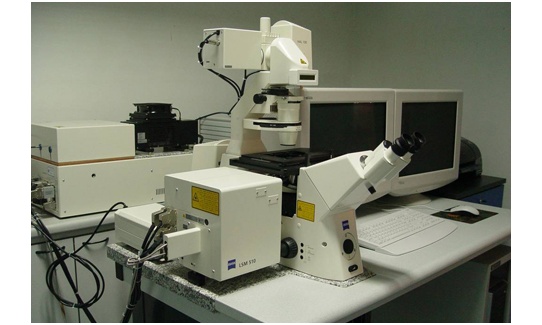 四川大学2016年超激光分辨共聚焦显微镜采购项目中标公告